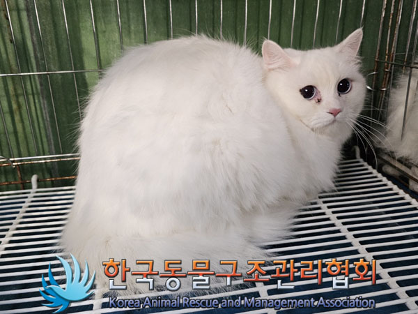 한국동물구조관리협회_411311202300988